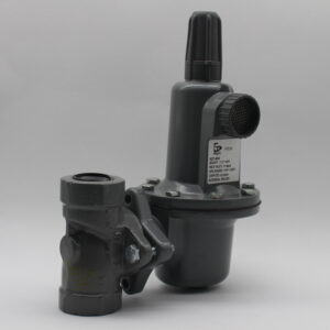 RTZ-25/1.7（L627) GasRegulator