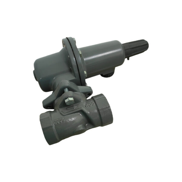 RTZ-25/1.7（L627) GasRegulator - Image 6