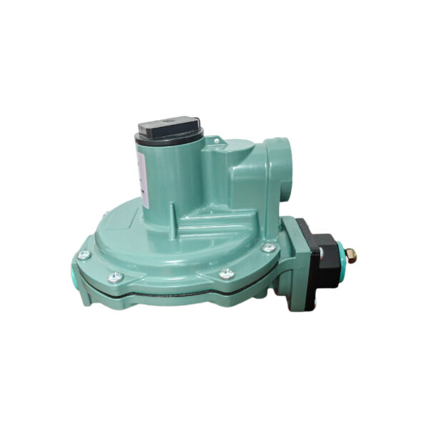 RTZ-15/0.8（LR622)Gas Regulator - Image 4