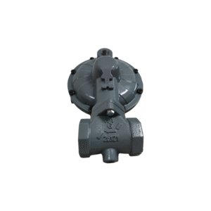 RTZ-40/0.8 (LCS400)Gas Regulator